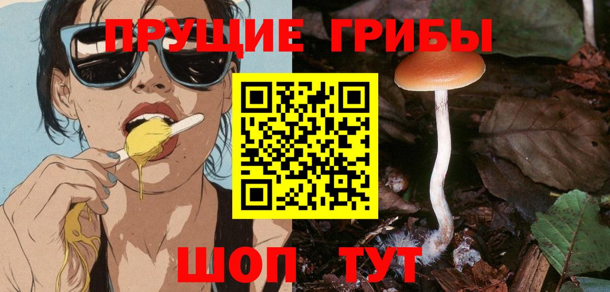 Галлюциногенные грибы мицелий Брянск